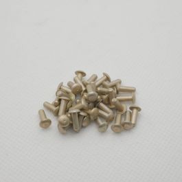 AN470AD3-4.5 Rivets (universal)