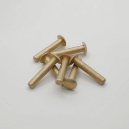 AN470AD6-16 Rivets (universal)